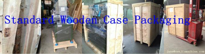 Two-pin Plug Insertion Machine